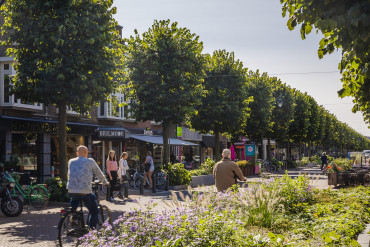 Programmamanagement Centrum Zeist